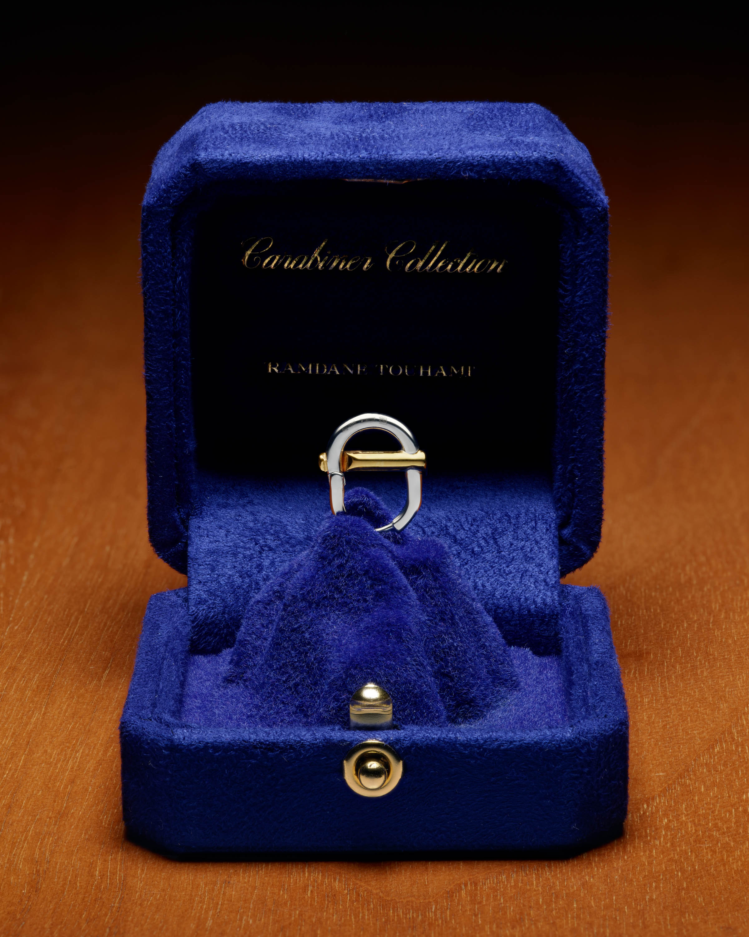 EIGER CARABINA EARINGS