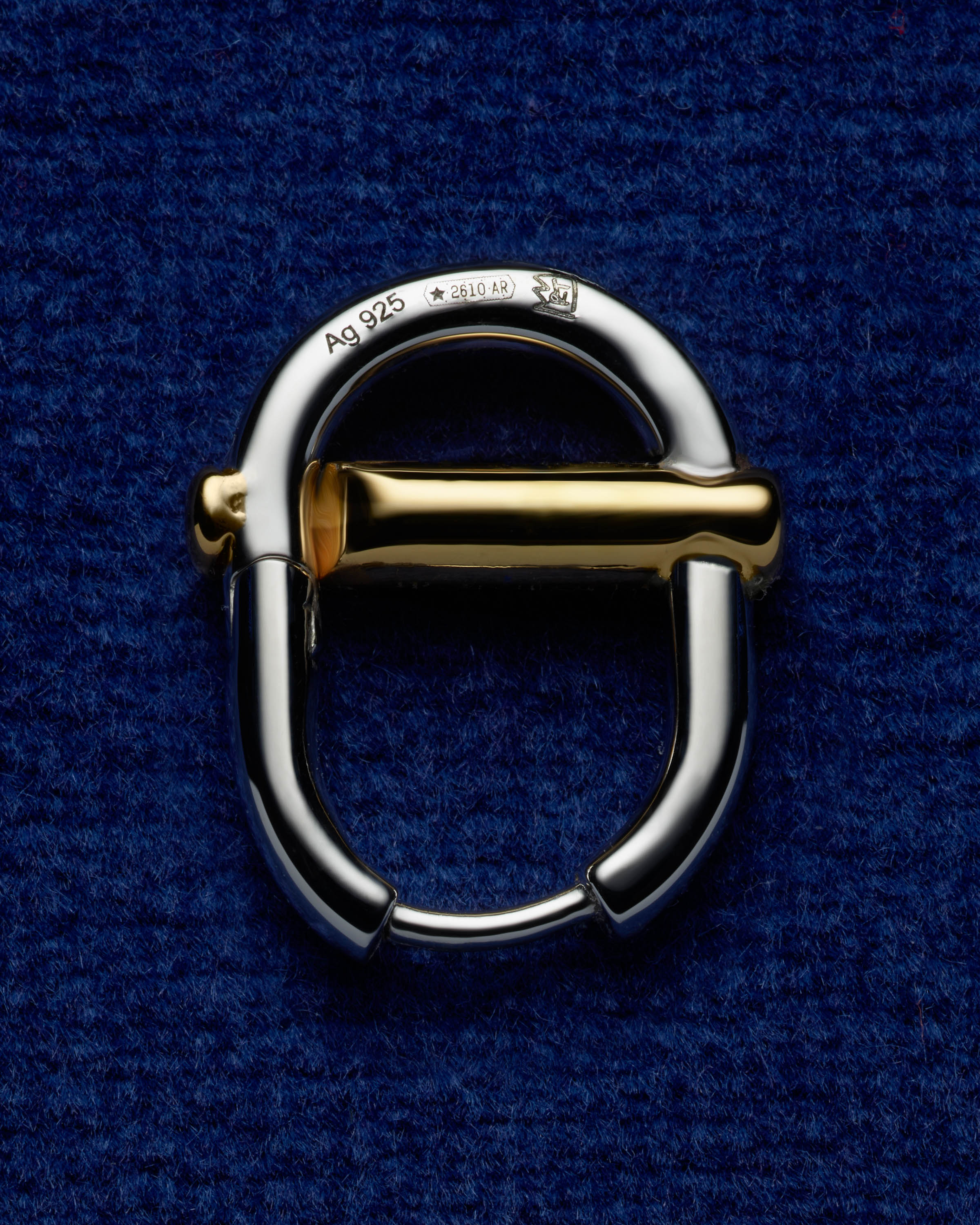 EIGER CARABINA EARINGS