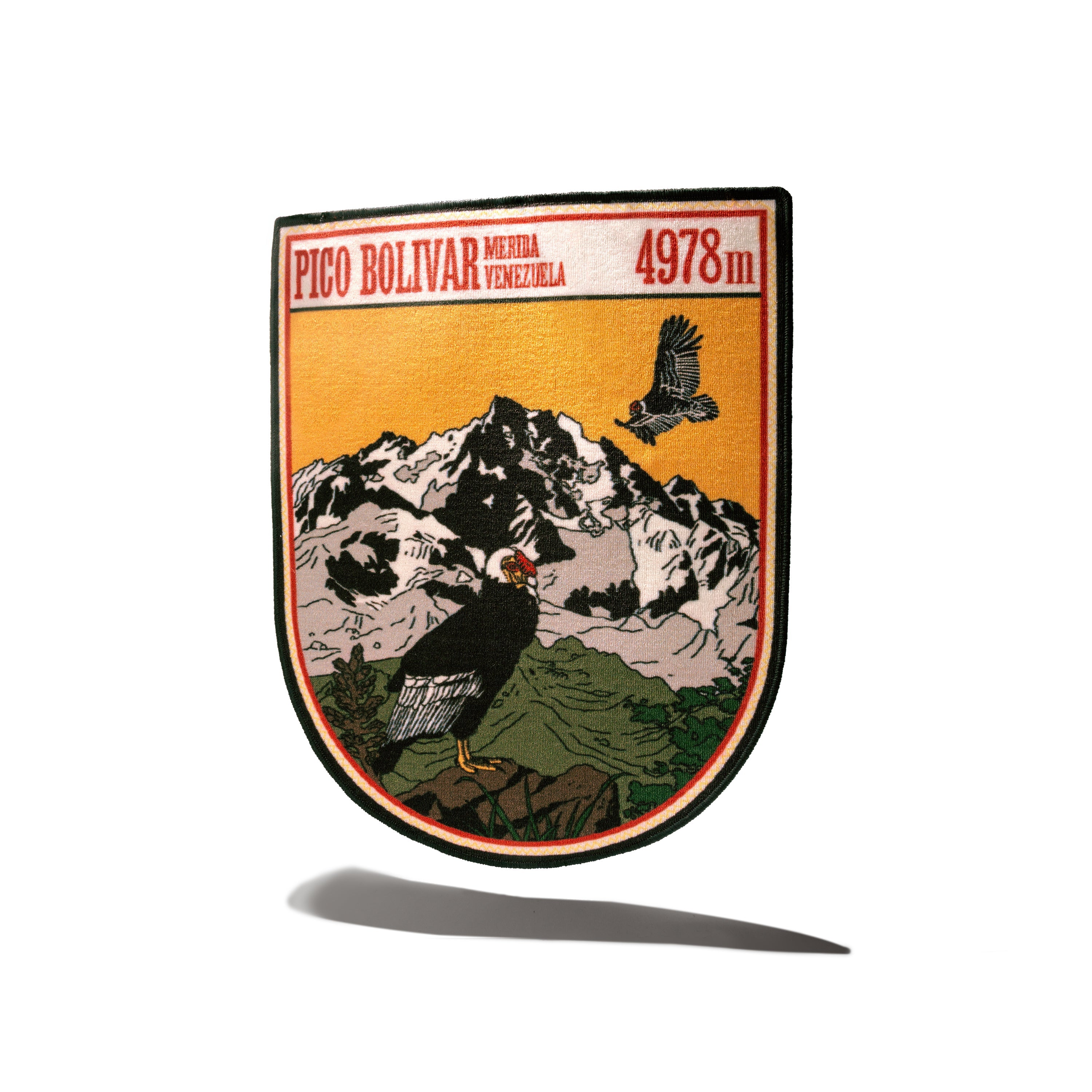 One Meter High Mountain's Rug: Pico Bolívar